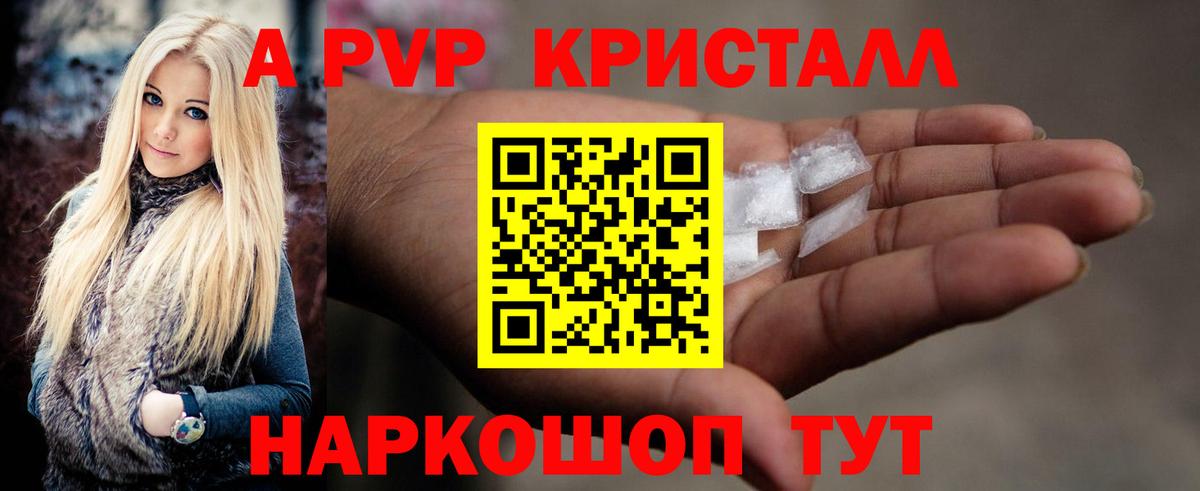 Альфа ПВП СК Апатиты