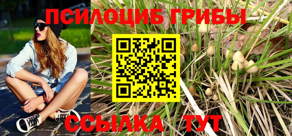 Апатиты  Псилоцибиновые грибы прущие грибы  сколько стоит  Псилоцибиновые грибы прущие грибы  Вход с VPN 
