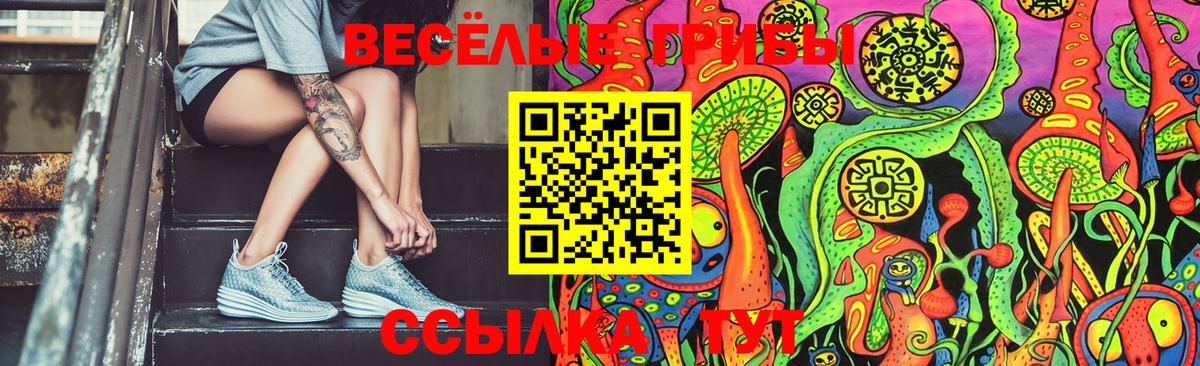 Галлюциногенные грибы Cubensis Апатиты
